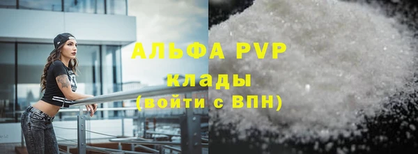 крисы Абаза