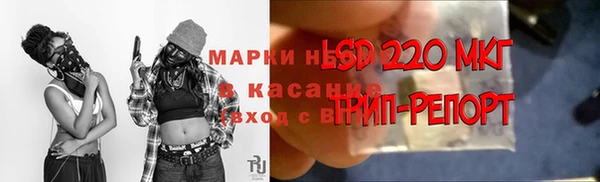 сатива Абдулино