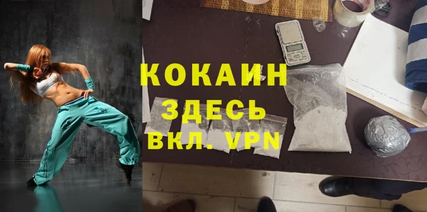 крисы Абаза